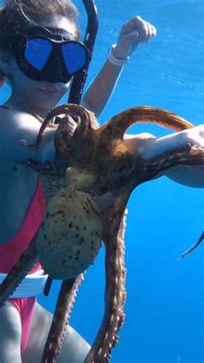 The octopus stuck to me and wouldn’t let go! #nature #wildlife #lifestyle #oceanlife #octopus | Your Favorite Mermaid