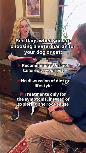 Red flags when you are choosing a veterinarian for your dog or cat...