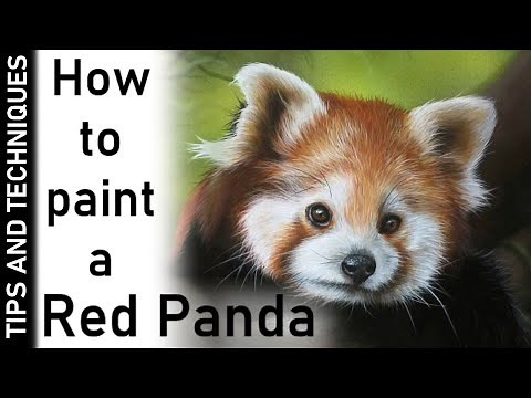 PAINTING A RED PANDA IN ACRYLICS
