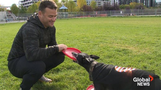 ‘A big honour’: Calgary’s ‘Frisbee Rob’ makes new Guinness World Records Book