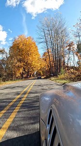 🍁 Ready for the ultimate fall adventure? Join us for the Flavors of Fall Color Tour on Oct 18 — starting and ending at the Gilmore Car Museum! Register by Monday, Oct 13 — spots are limited and filling fast! Here’s what’s included: 🚗 A scenic drive through Michigan’s colorful back roads 🛺 A golf cart color tour of The Lynx Golf Course ⛳ Fun putting challenges with prizes 🥃 Bourbon tasting & a hearty fall buffet Don’t miss this one-of-a-kind fall experience! 🍂 #FlavorsOfFall #GilmoreCarMuseu