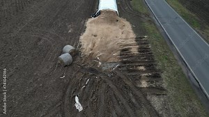 silage, there are many, therefore for purposes preparation for harvest and the harvest itself, fermentation phase primary fermentation and period of storage and feeding. foil bag tunnel, soil, above