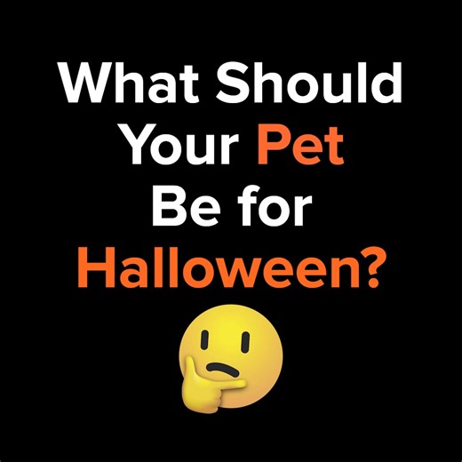 Who will be your sidekick this Halloween? The cutest pumpkin or a fur-ocious dino? Try our PetSmart Costume Generator and find out! | BuzzFeed Animals