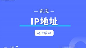 IP地址