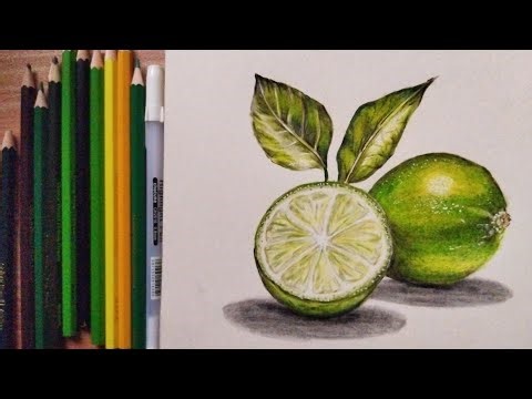 Realistic Lime Drawing with Colored Pencils | Step by Step Fruit Illustration Tutorial🍋✏️