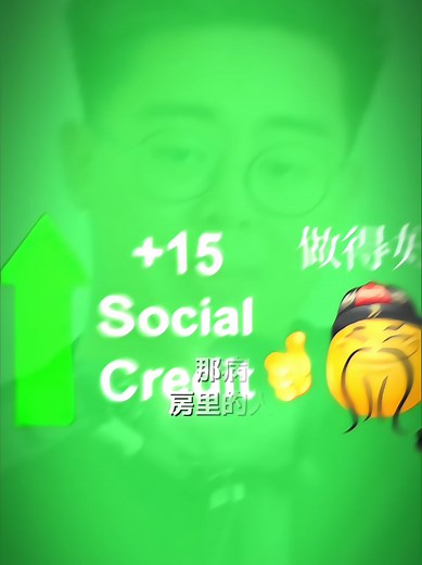 Understanding China's Social Credit System