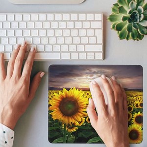 Amazon.com: Cartoon Cats and Fish Mouse Pad,Funny Doodle Kittens Square Waterproof Mouse Mat,Non-Slip Rubber Base Durable Stitched Edges Computer Mousepad for Gaming Home Office Wireless Mouse 9.5"x7.8" : Office Products