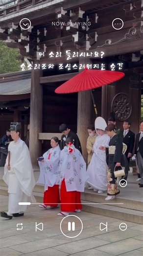 Unexpected Serenity at Meiji Shrine During Tokyo Trip