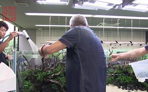 [ADAview] ADA纪录片THE MOVIE OF AQUA DESIGN AMANO