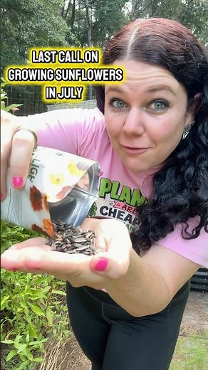 What flower seeds to start in July 🌻 read more below ⬇️