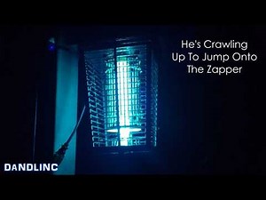 Satisfying! 18 Minutes of Mosquito Zapper Action REVENGE!!