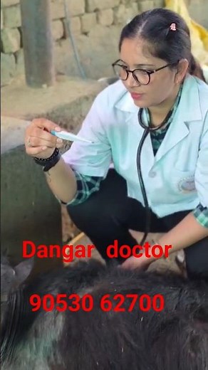 Artificial Insemination | ai Maitri Training | Dangar doctor | dairy training | Ai Course |