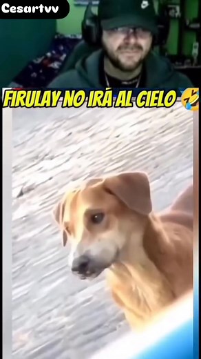 4.3K views · 54 reactions | 藍藍藍藍藍藍藍藍 | Marco Paul | Facebook