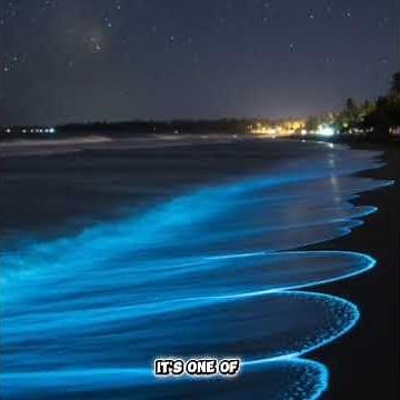 YouTube: The Ocean That Glows Like Neon: Firefly Squids of Japan