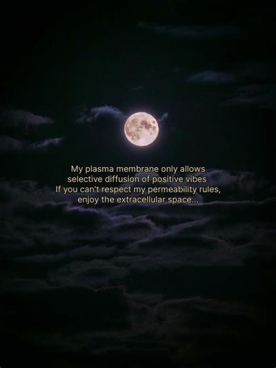 #music #instrumental #science