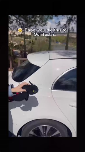 Original Toothless Plush on Instagram: "Every car journey becomes epic with Toothless plush.  #EpicJourney #ToothlessPlush #CarVibes #FantasyDrive #PlushCompanion"