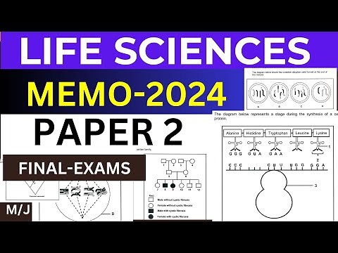 2024 MEMO FINAL EXAM LIFE SCIENCES SCIENCES P.2(PAPER 2) GRADE 12 M/J [THUNDEREDUC] BY M.SAIDI