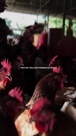 jphamiltonfarmhub on TikTok