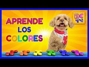 Aprende los colores con Lizzy la perrita | Video Educativo para Niños de Brain Candy TV