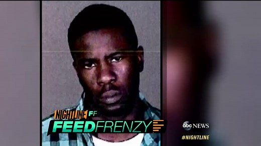 Feed Frenzy: Kia 'Dancing Hamster' Charged