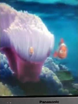 Finding nemo ocean view
