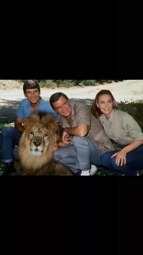 8.2K views · 168 reactions | Classic TV Series on Reels | Facebook