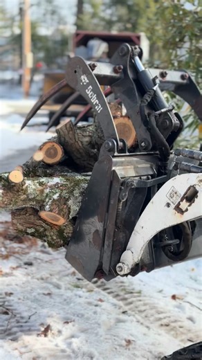 ❄️🥶Cold weather reveals structural issues in trees that go unnoticed all year. Let Acorn Tree Company assess your property and keep your home safe this season. Schedule a free estimate now at 845.485.TREE today! #TreeRemoval #treeservice #stihl #chainsaw #tree #marlborony #husqvarna #treework #beaconny #newburghny #newpaltzny #poughkeepsieny #highlandny #hydeparkny | Acorn Tree Care LLC