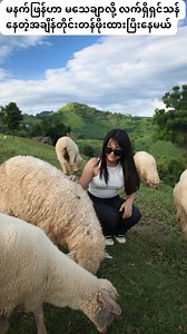 49K views · 1K reactions | Pyae Pyae on Reels | Facebook