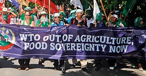 Master of Science (MSc) in Agricultural Economics - University of Copenhagen