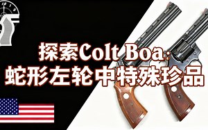 [中配]探索Colt Boa：蛇形左轮中特殊珍品 - Forgotten Weapons