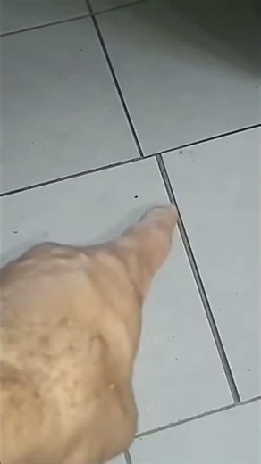 What to put on an indoor ramp to prevent slipping.