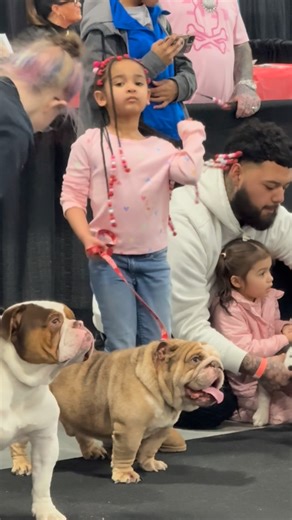 Bkb Babykbullz on Instagram: "ACE AND BABY K Junior handler class @theohiobullyshowcase"