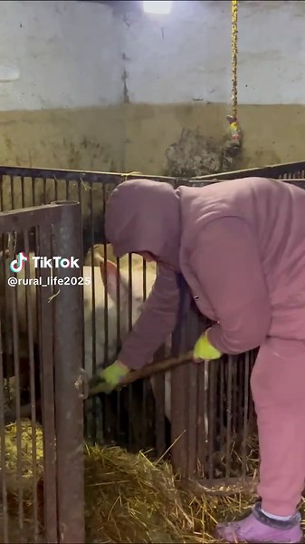 Empowering Village Woman Farming in the Countryside