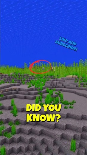 You’re Using Dolphins Wrong in Minecraft! #minecraft #minecraftshorts #dolphin