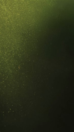 the road calls the gang forward. new Renault Duster is built for movement - bold, capable, and ready for what lies ahead. step into the driver’s seat early, register with Duster R-Pass and take the lead. know more via the link in bio. #Renault #Duster | Renault