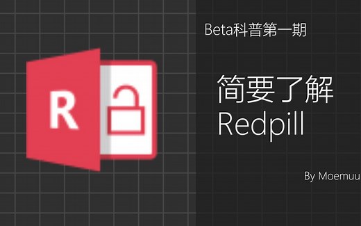 【Beta科普】简要了解Redpill