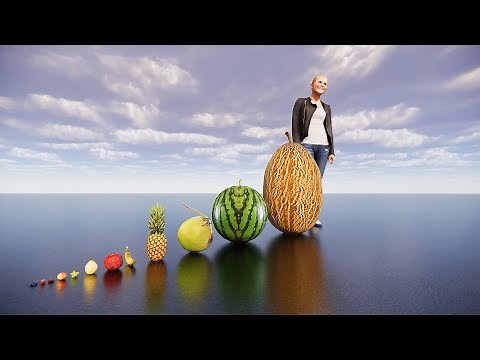 Fruit size comparison