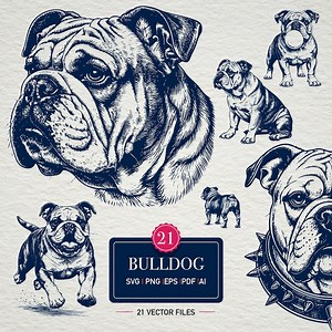 Bulldog Vector Bundle Vintage Bulldog Engraving SVG PNG Eps Dog Illustration Clipart French Tattoo Logo Design - Etsy
