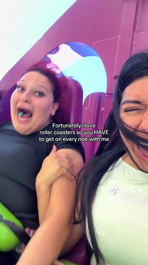 Experience the Thrills of Falcon's Fury at Busch Gardens