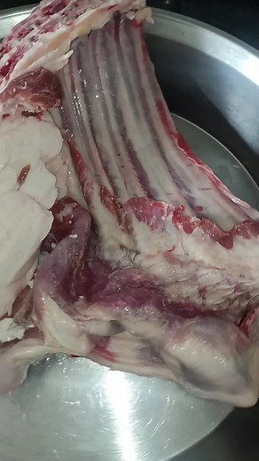 yagmurelif_3346 TikTok'ta