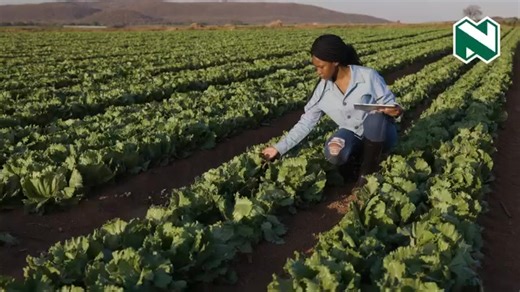 Industry experts shared valuable agribusiness insights at the Nedbank Agri Webinar Series – from the highs, lows, and trends in South African agriculture in 2025 to understanding market dynamics and strategies for sustainable growth and more. We look forward to hosting you at the next edition, featuring even more insights. #NedbankCommercialBanking | The Mthatha Plaza Shopping Centre