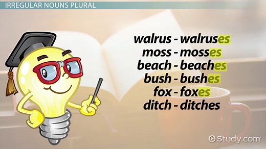 Singular & Plural Nouns: Lesson for Kids