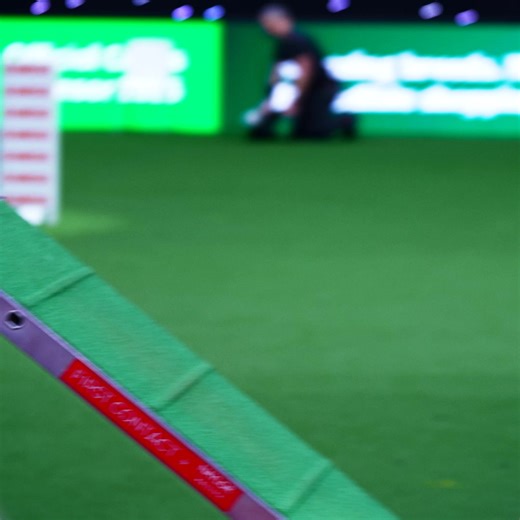 What are you waiting for? Get your tickets to Crufts soon or you might miss out on this year’s best day trip. | Crufts