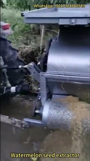 Pumpkin Seed Extraction Machine – Fast & Clean Seed Separation for Maximum Efficiency!