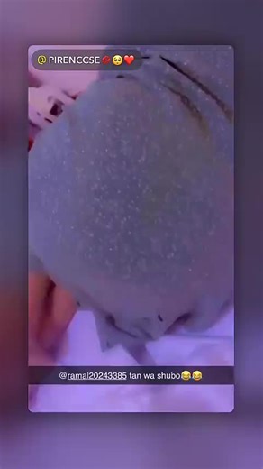 Qarxis snap (@qarxis_snap) - ‏#somalitiktok #snapqarxis😂🔥😂😂