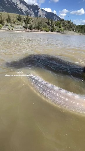 Rivermonsteradventures.ca | River Monster Adventures