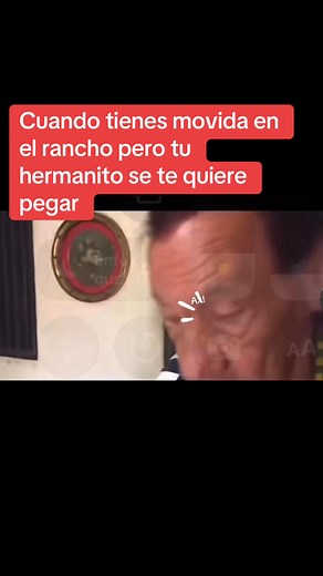 #LaGilbertona #memes | La Gilbertona La Diva De Sinaloa