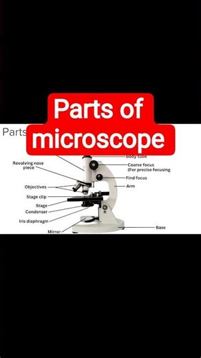 parts of microscope 🔬 (compound microscope #microscope #microbiology #pathology #medical #biology