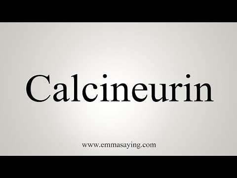 How To Say Calcineurin