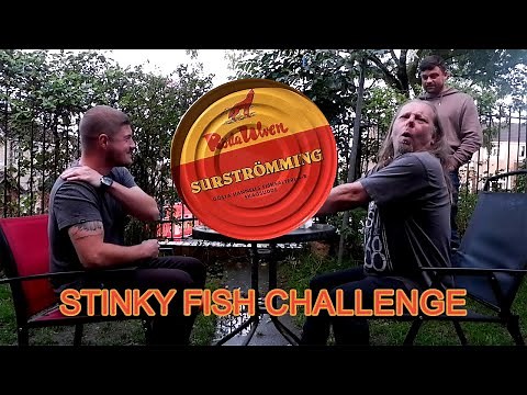 Stinky Fish Challenge, Bistro Style. Fermented fish challenge (Surströmming)